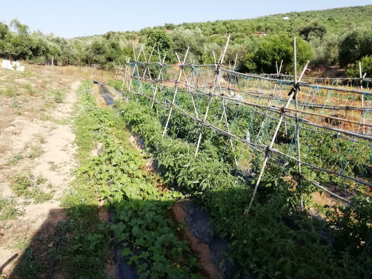 Hébergement de vacances Rural La Perdiz