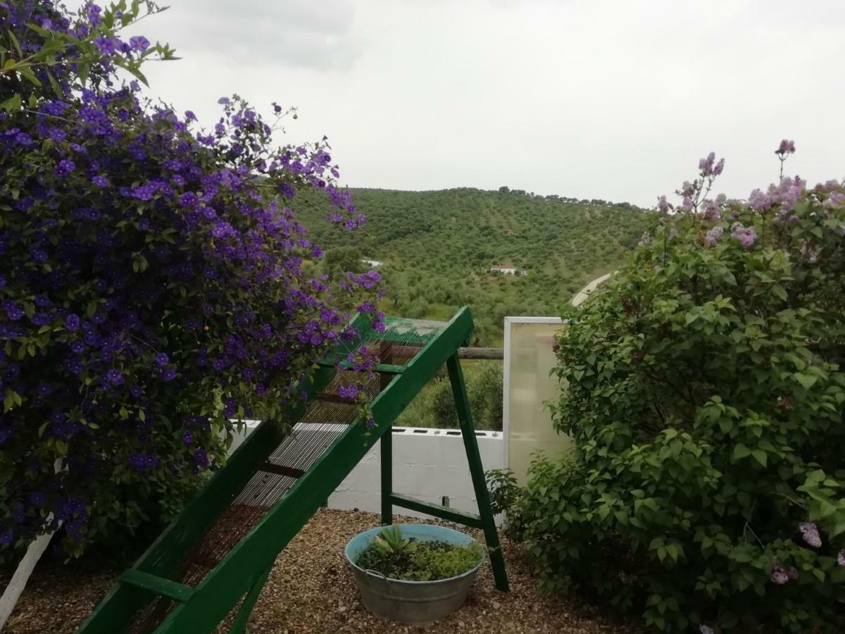 Rural La Perdiz Hébergement de vacances *
